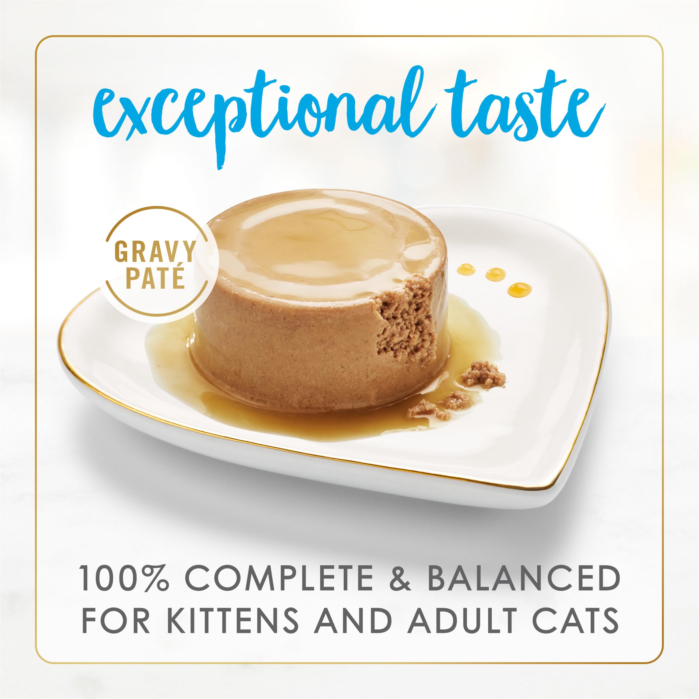 Close-up of pate in gravy showing creamy texture and savory aroma for cats