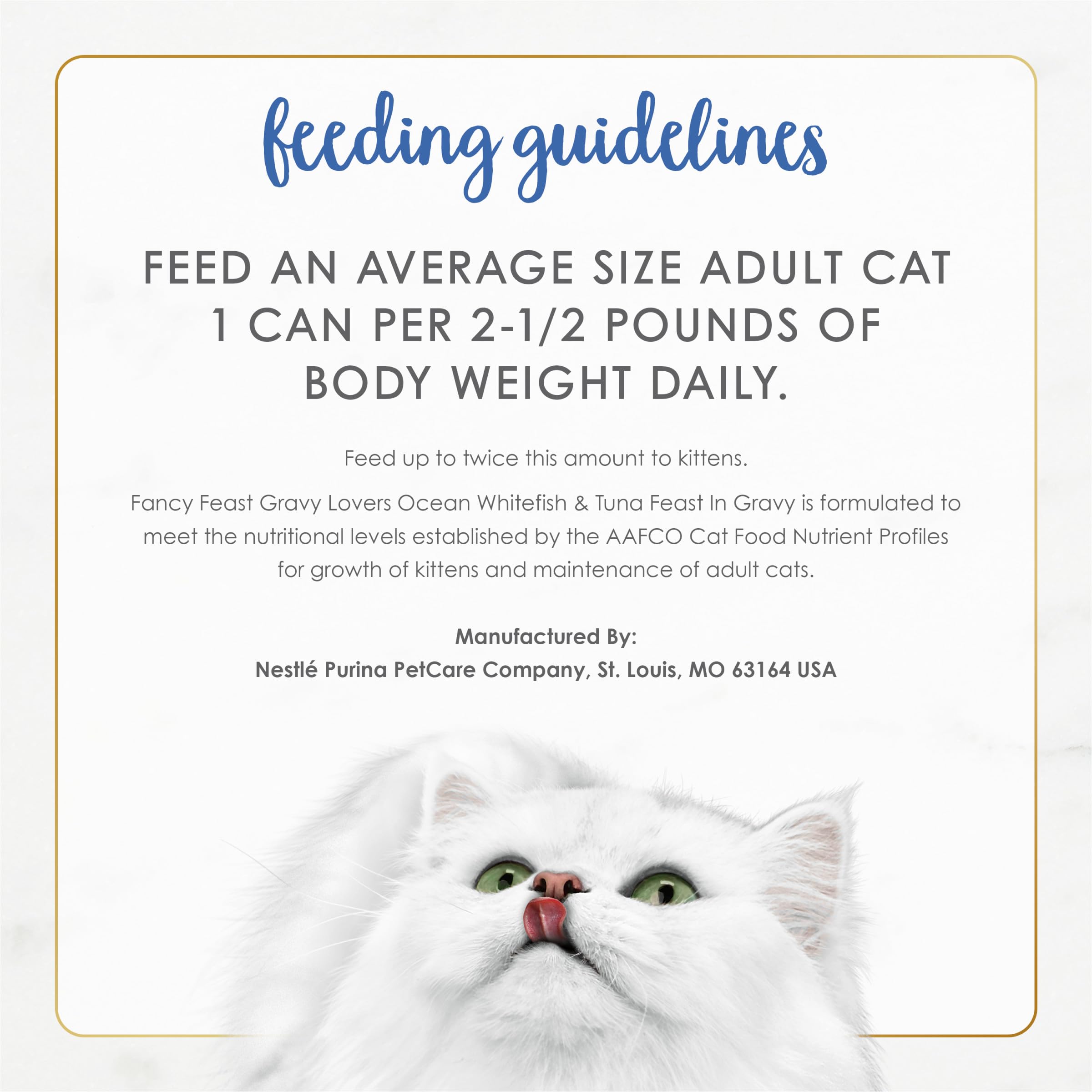 Fancy Feast Gravy Lovers pack shot ready for daily feeding routine.