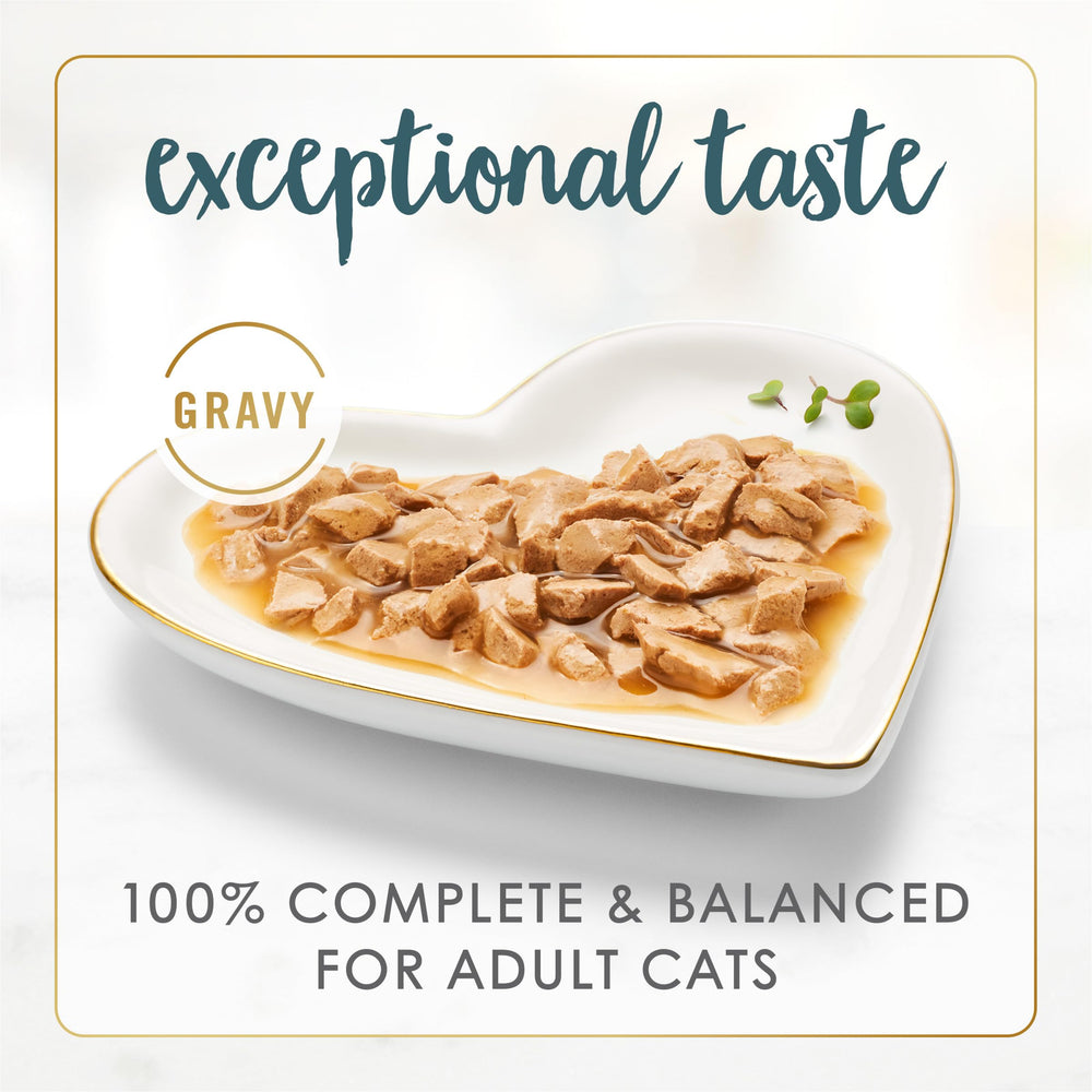 Fancy Feast Gravy Lovers roasted turkey gravy bowl close-up highlights enticing aroma.