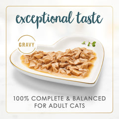 Fancy Feast Gravy Lovers roasted turkey gravy bowl close-up highlights enticing aroma.