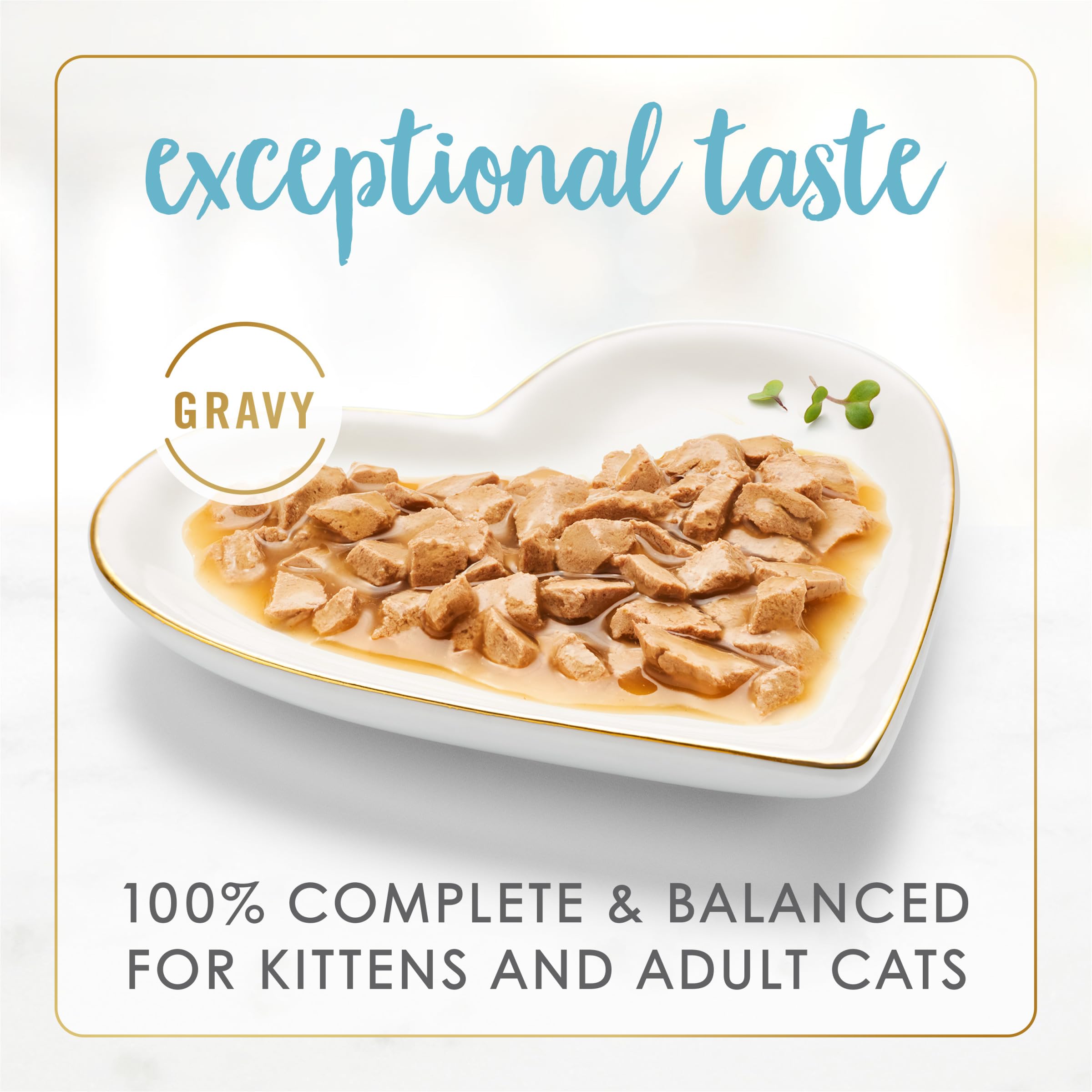 Fancy Feast Gravy Lovers seared-salmon gravy closeup shows rich aroma and savory texture.