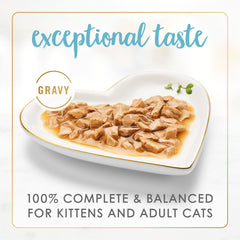 Fancy Feast Gravy Lovers seared-salmon gravy closeup shows rich aroma and savory texture.