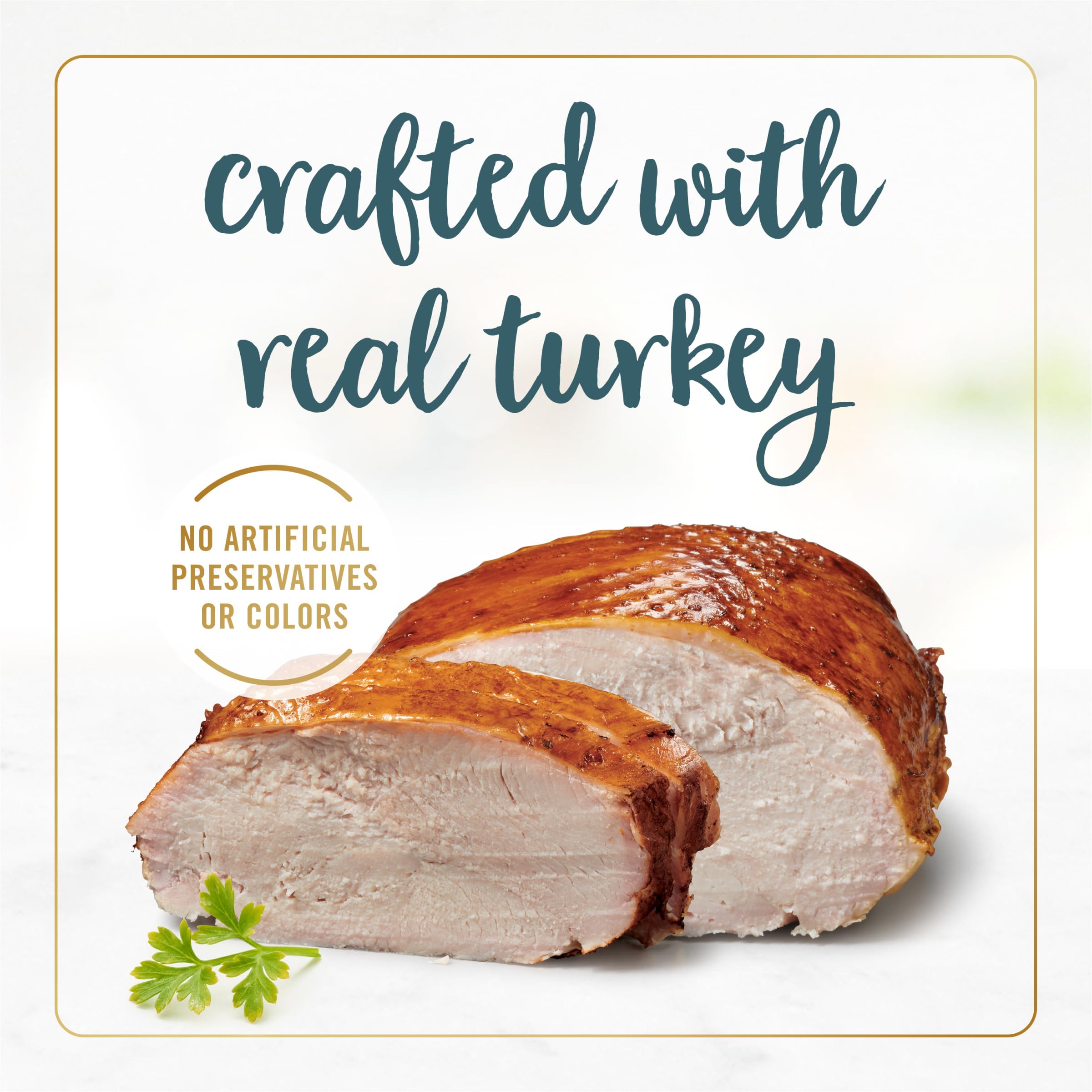 Fancy Feast Gravy Lovers turkey gravy close-up emphasizes rich flavor for meals.