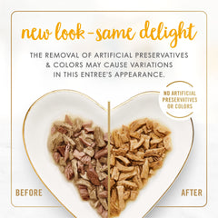 Fancy Feast Grilled Chicken and Beef in Gravy serving bowl, savory texture enhances meal experience.