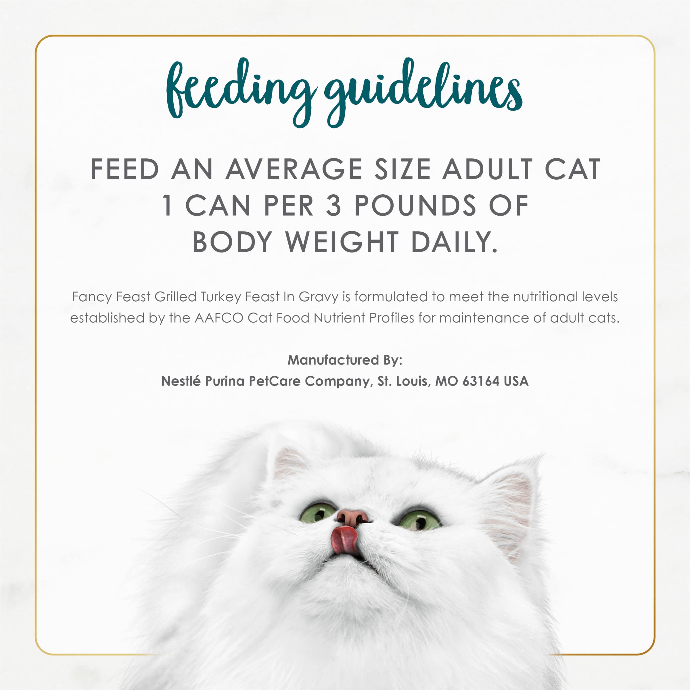 Fancy Feast Grilled Turkey Chunks in Gravy serving suggestion, daily meal ready.