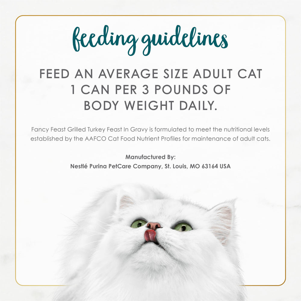 Fancy Feast Grilled Turkey Chunks in Gravy serving suggestion, daily meal ready.