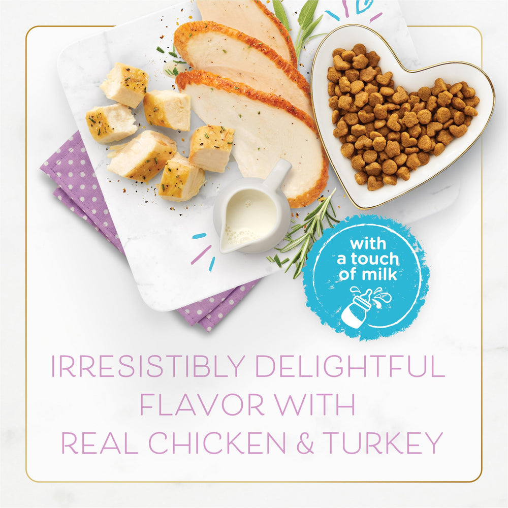 Crispy texture of Fancy Feast kitten kibble appeals to hungry felines