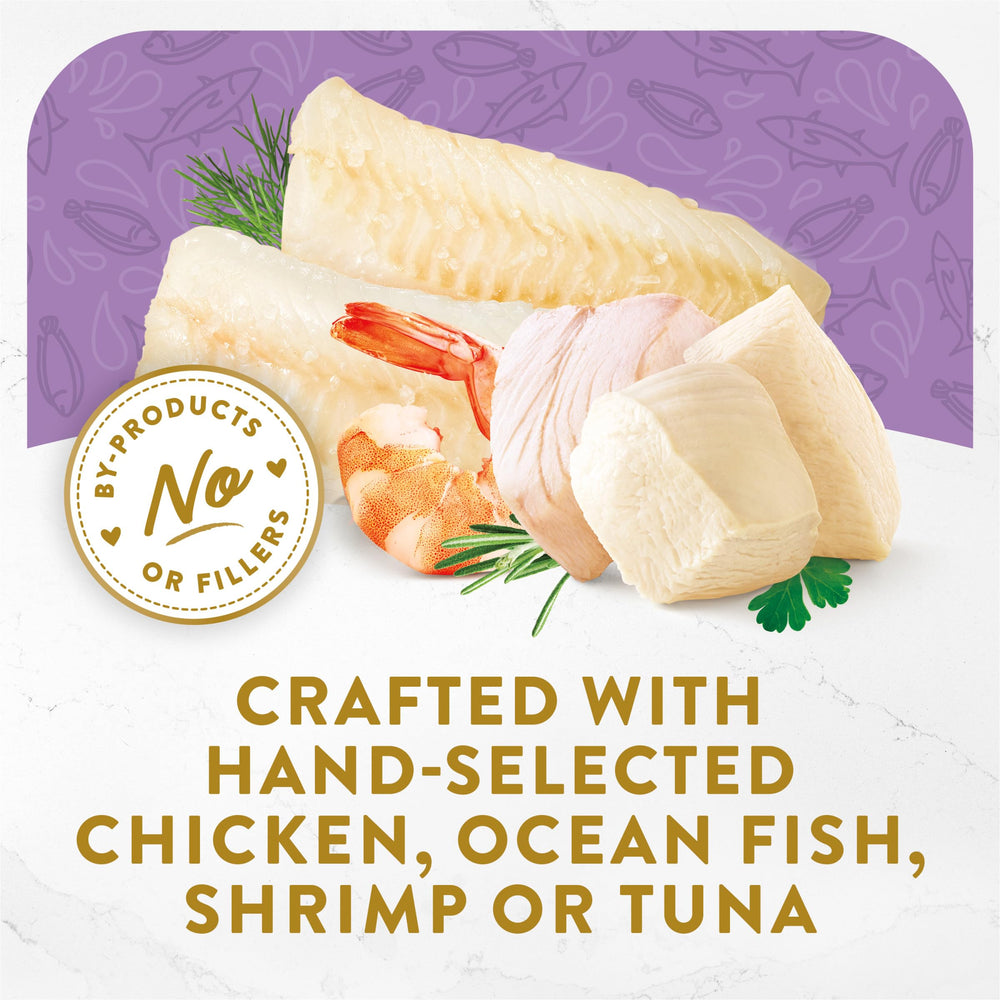 Fancy Feast Lickable Appetizers White Meat Chicken tray provides poultry-inspired nibble