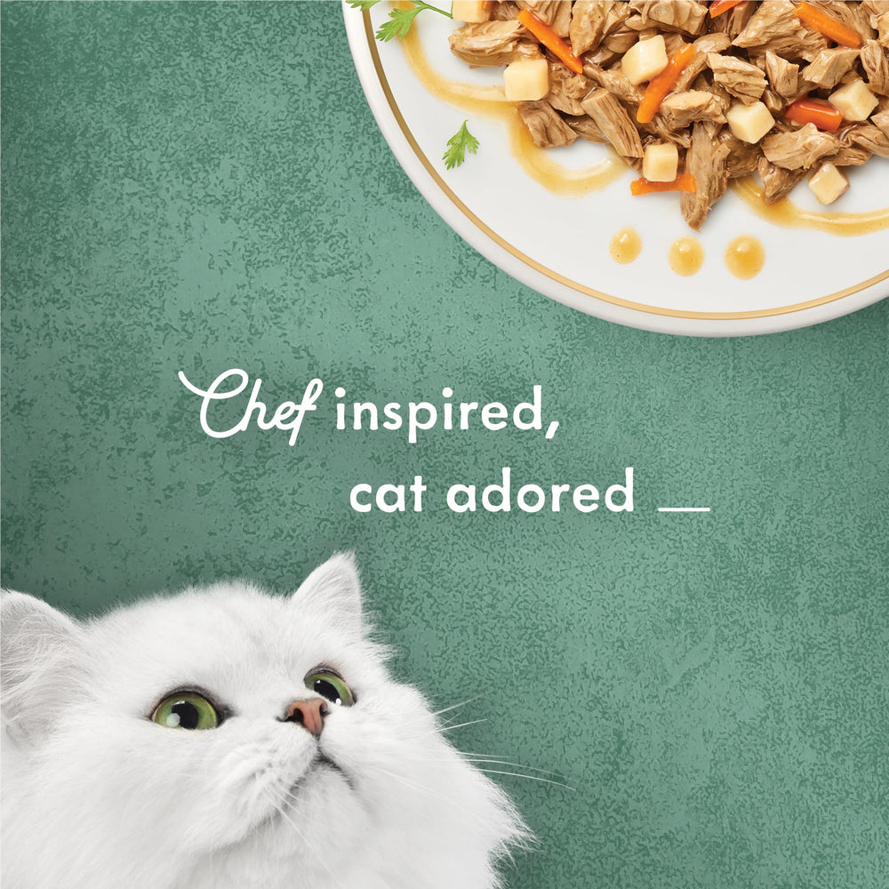 3 oz Fancy Feast Medleys can showcases 24-pack convenience.