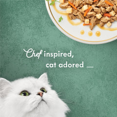 3 oz Fancy Feast Medleys can showcases 24-pack convenience.