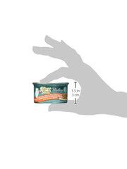 3 oz Fancy Feast Medleys can close-up showing real chicken for adult cats.