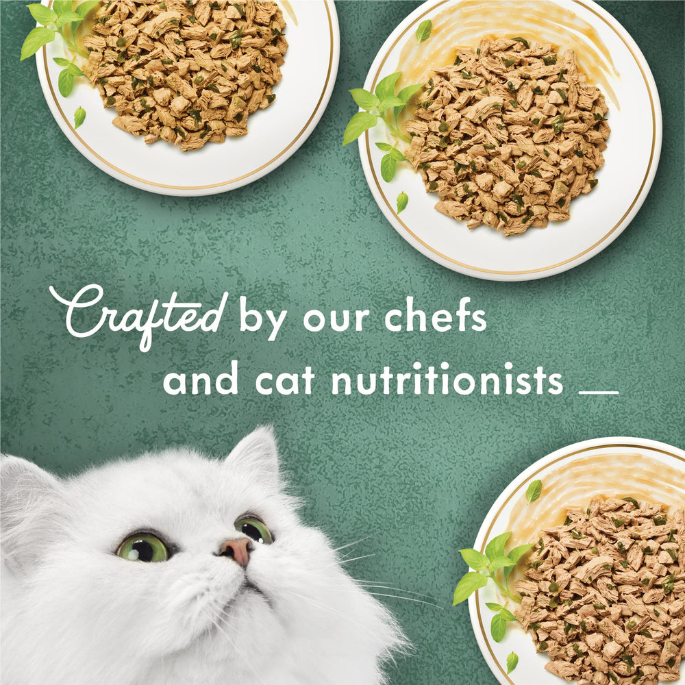 Cat enjoys Fancy Feast Medleys wet food served in a bowl.