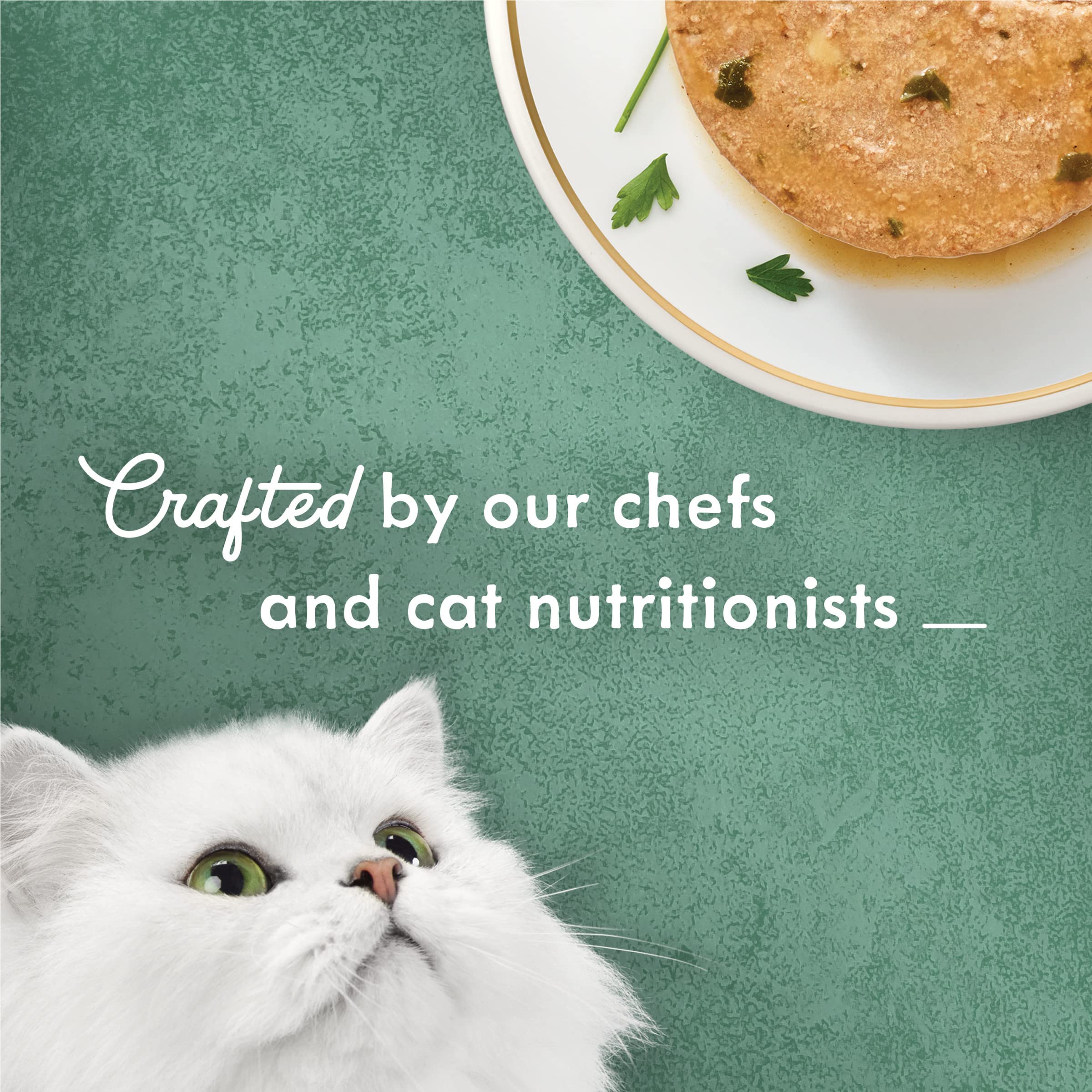 Fancy Feast Medleys recyclable packaging shown as eco-friendly