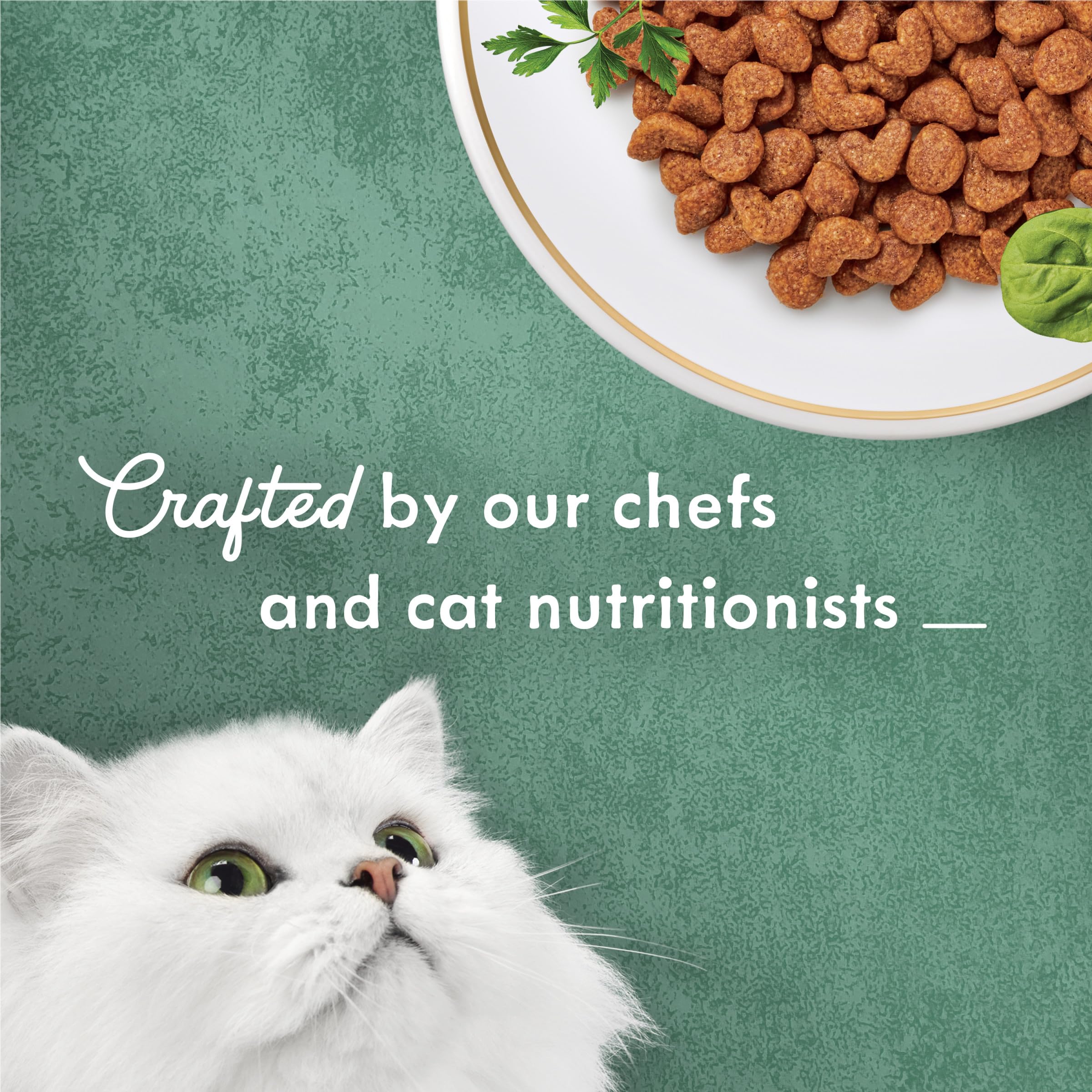 Tomato accents visible in kibble provide a vibrant, appetizing blend.