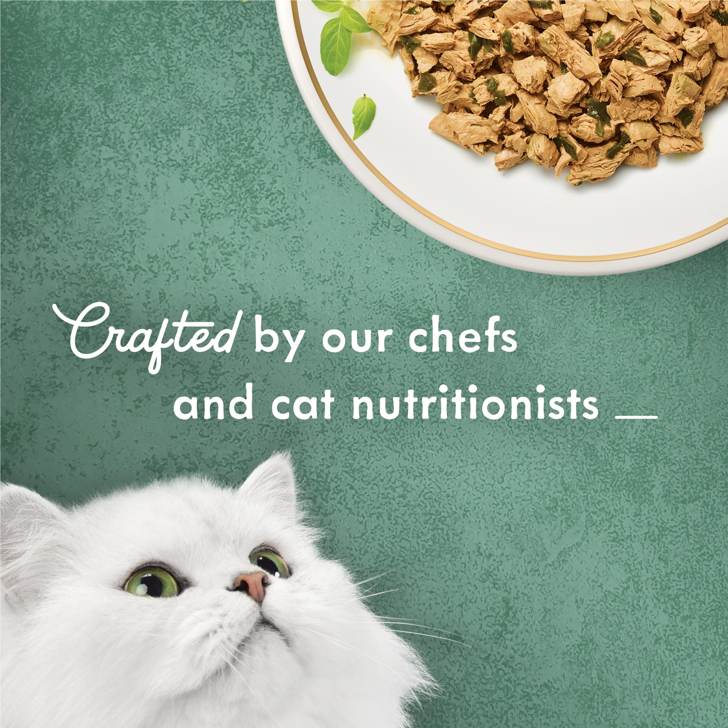Serving bowl of Fancy Feast Medleys ready for cats.