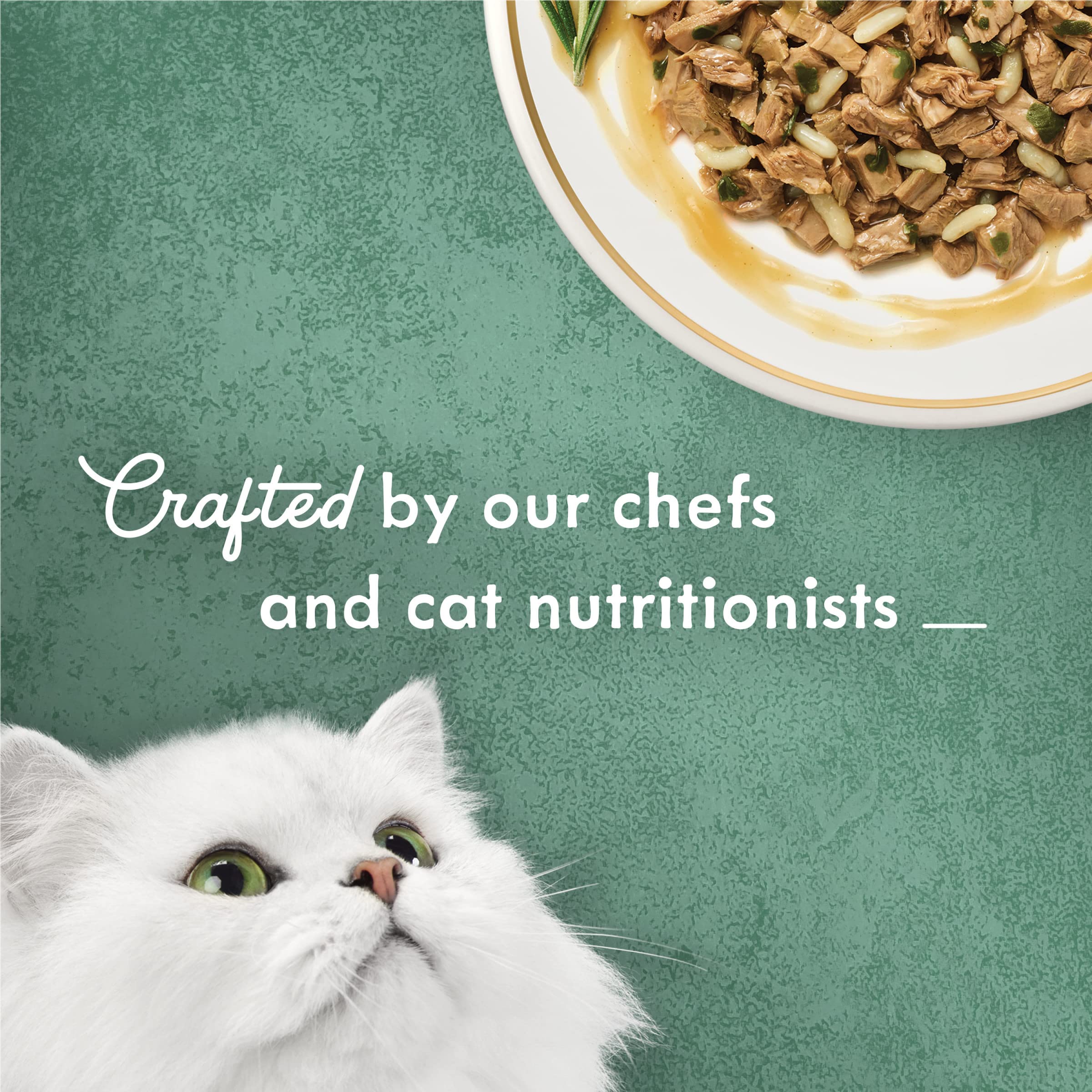 Fancy Feast Medleys Tender Turkey Tuscany serving bowl presentation with premium ingredients.