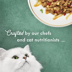 Fancy Feast Medleys tomatoes and pasta accents for variety