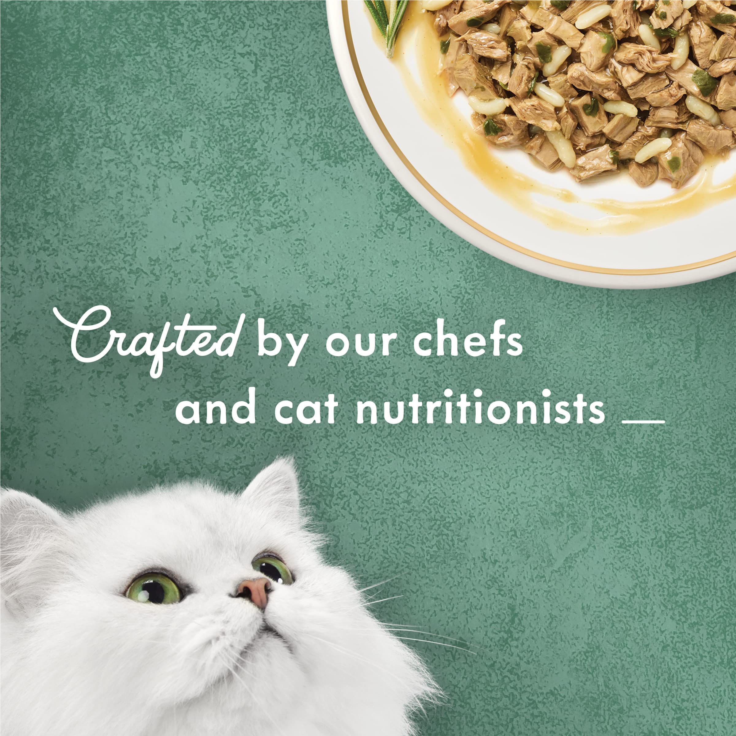 Fancy Feast Medleys white meat chicken Tuscany savory gravy enhances texture.