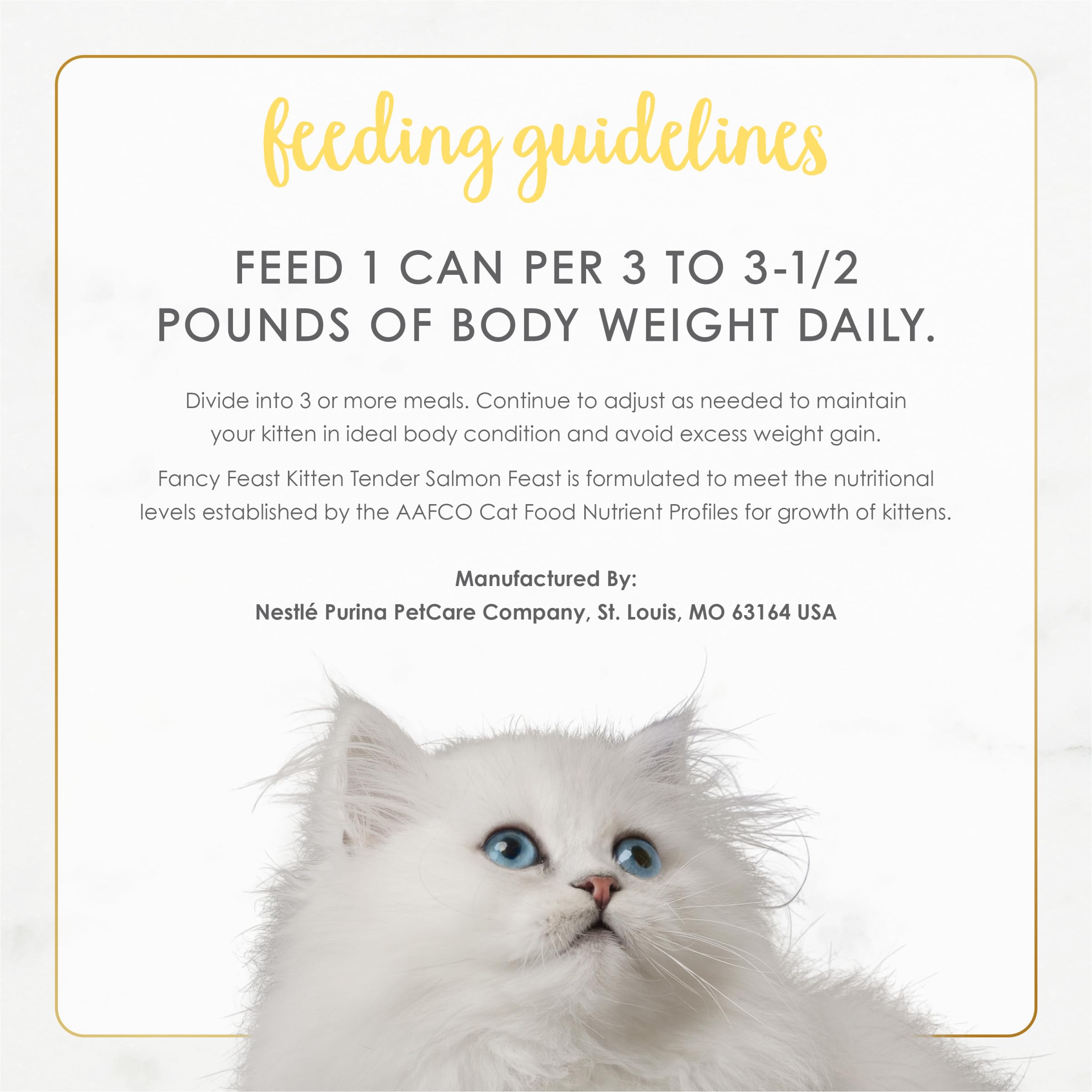 Fancy Feast Nutrition Balance concept paired with high-quality ingredients.