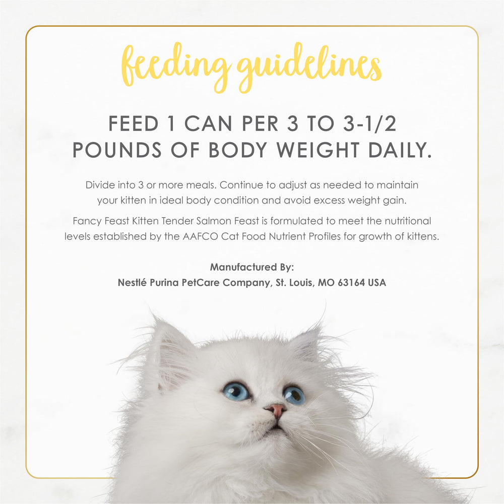 Fancy Feast Nutrition Balance concept paired with high-quality ingredients.