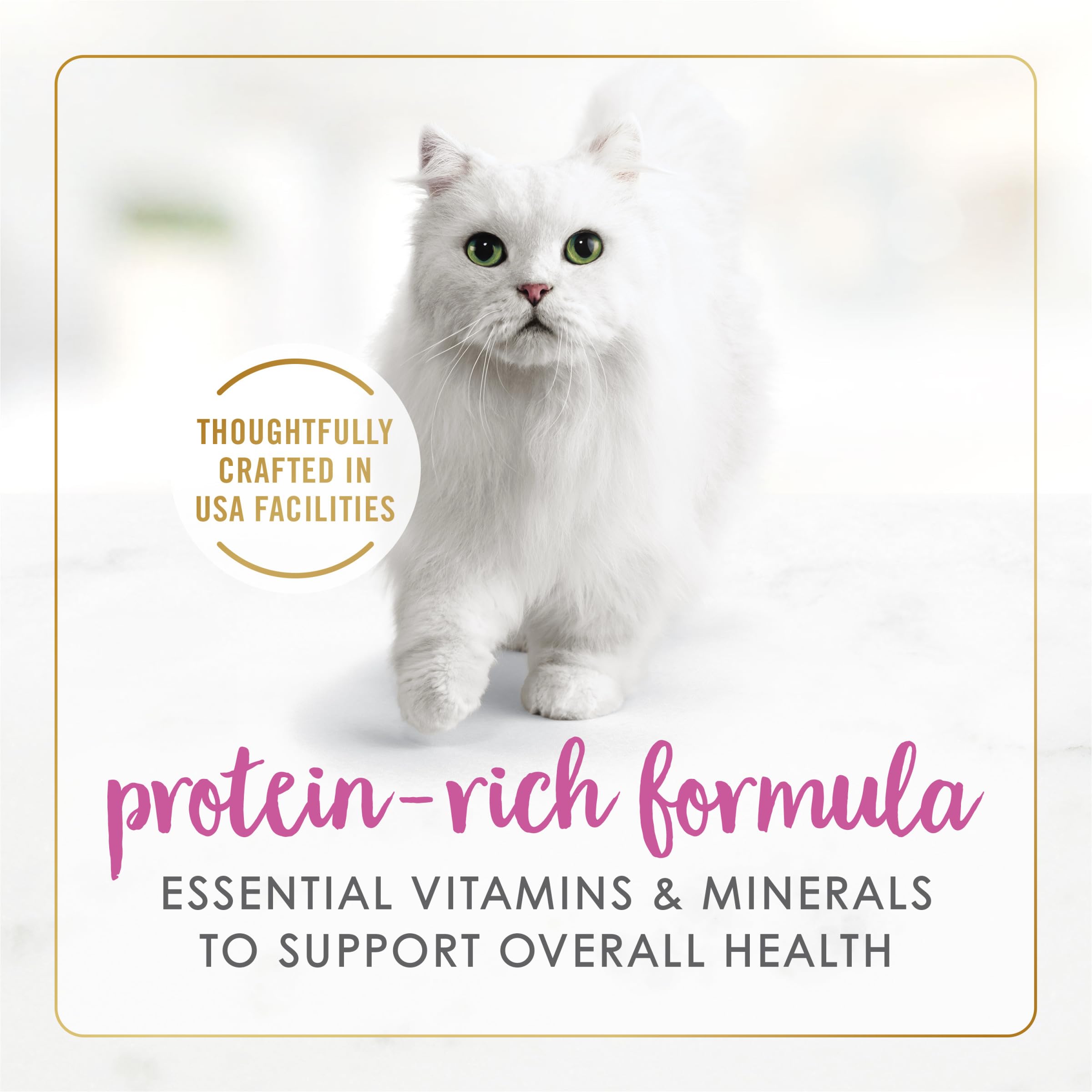 Fancy Feast cat enjoying pate with gravy, flavorful protein-rich feeding moment