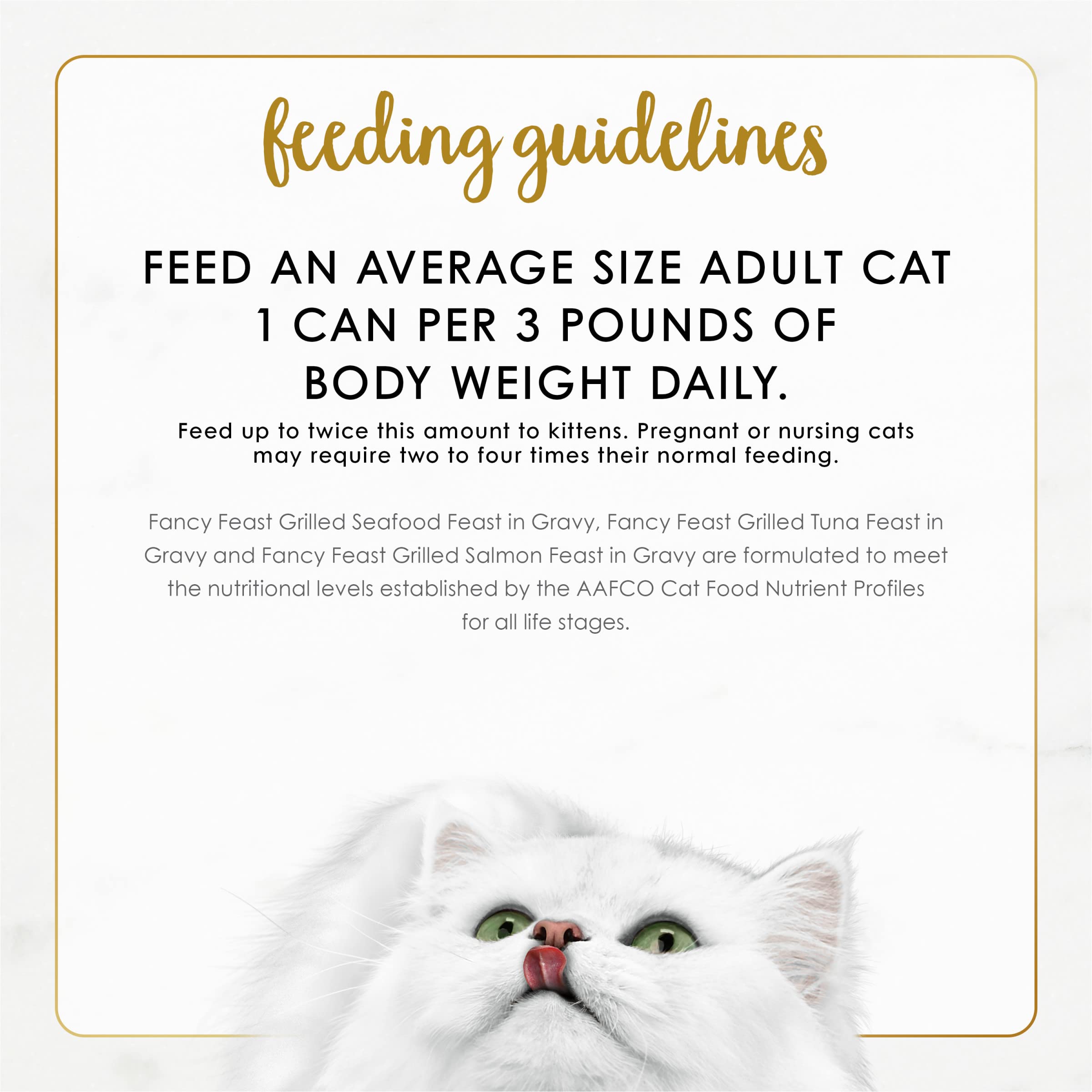 Fancy Feast packaging-display-24-count shows ready-to-serve cartons for easy storage.