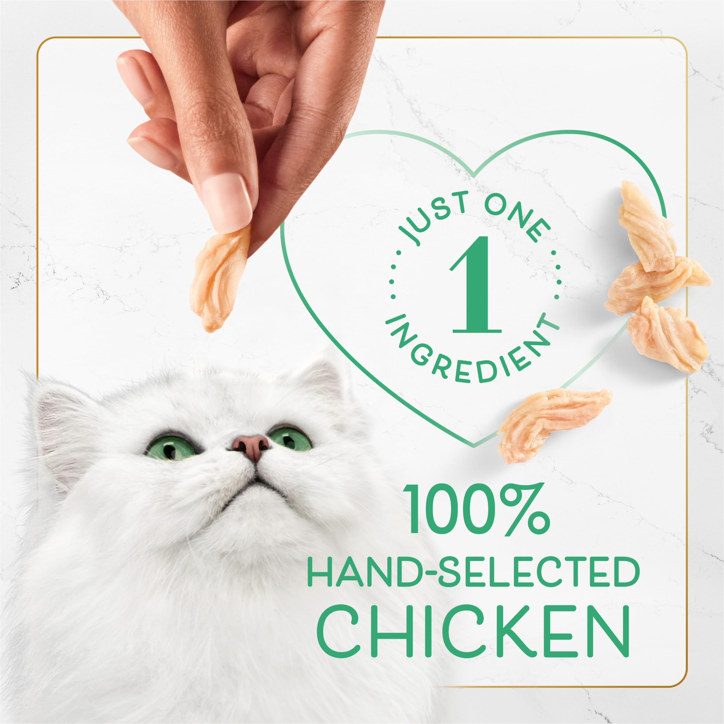 Fancy Feast packaging side view highlighting a convenient five-pack for busy households.