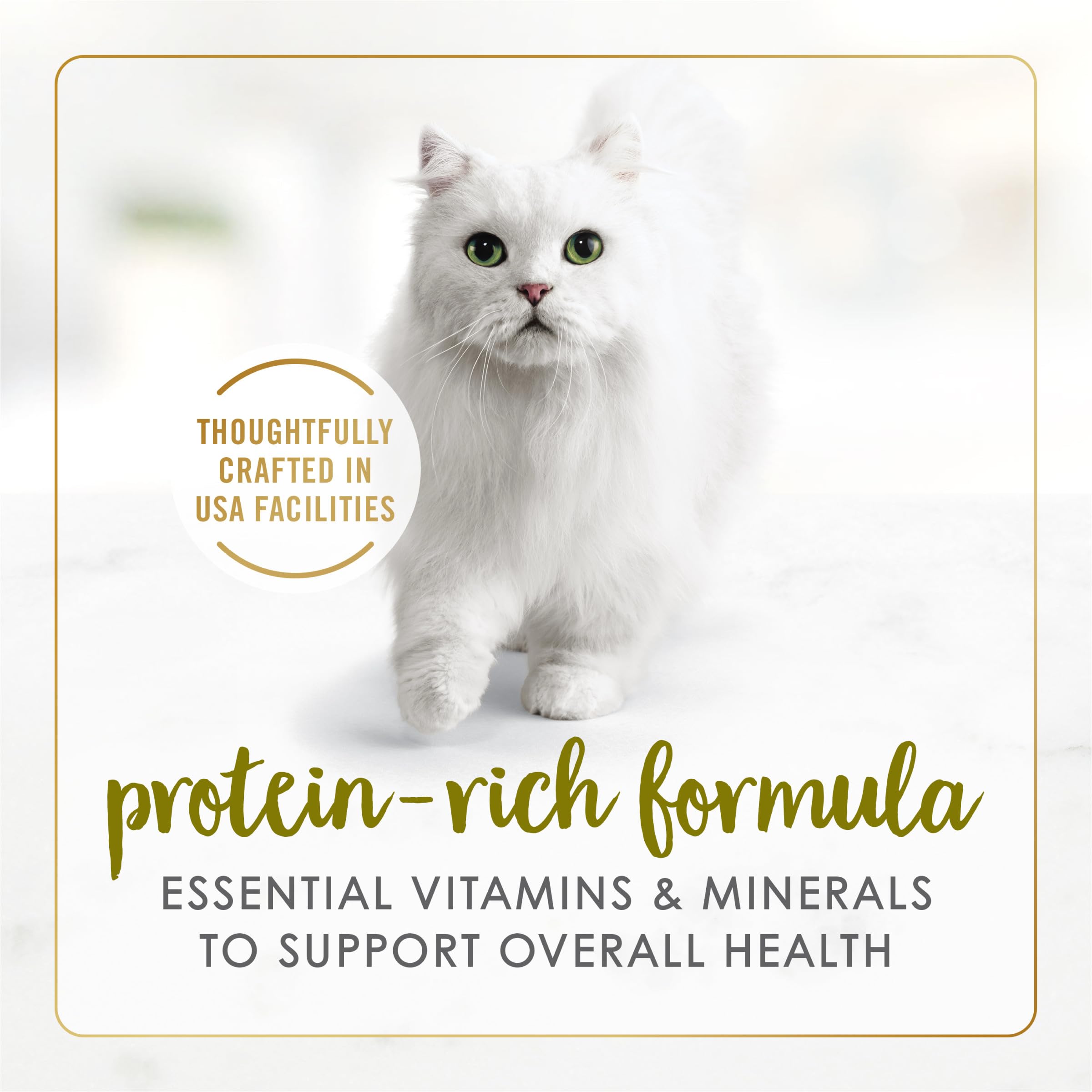 Fancy Feast grain-free cat food bowl emphasizes grain-free formula and savory taste.
