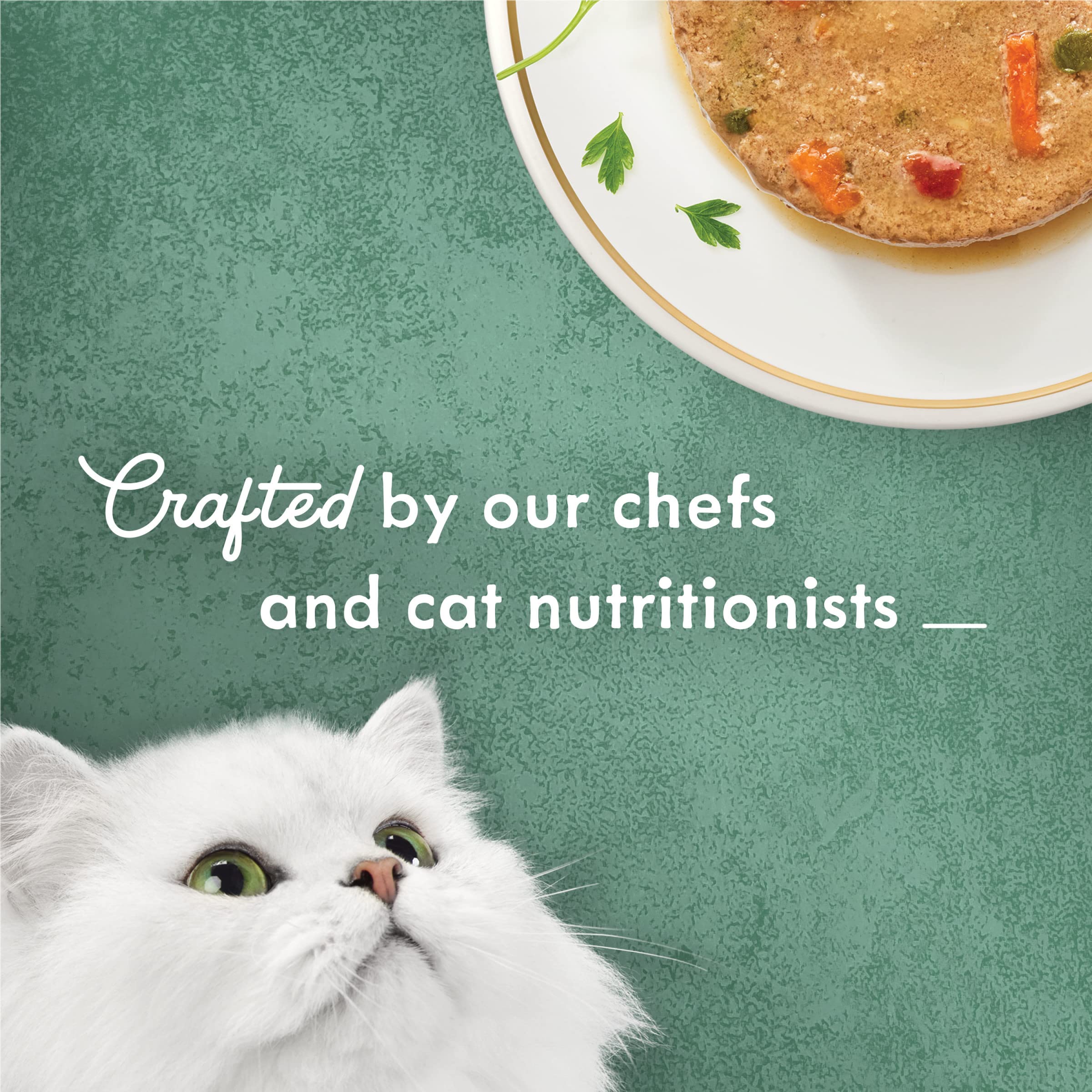 Fancy Feast Primavera packaging showing 24 cans for convenient feeding routines.