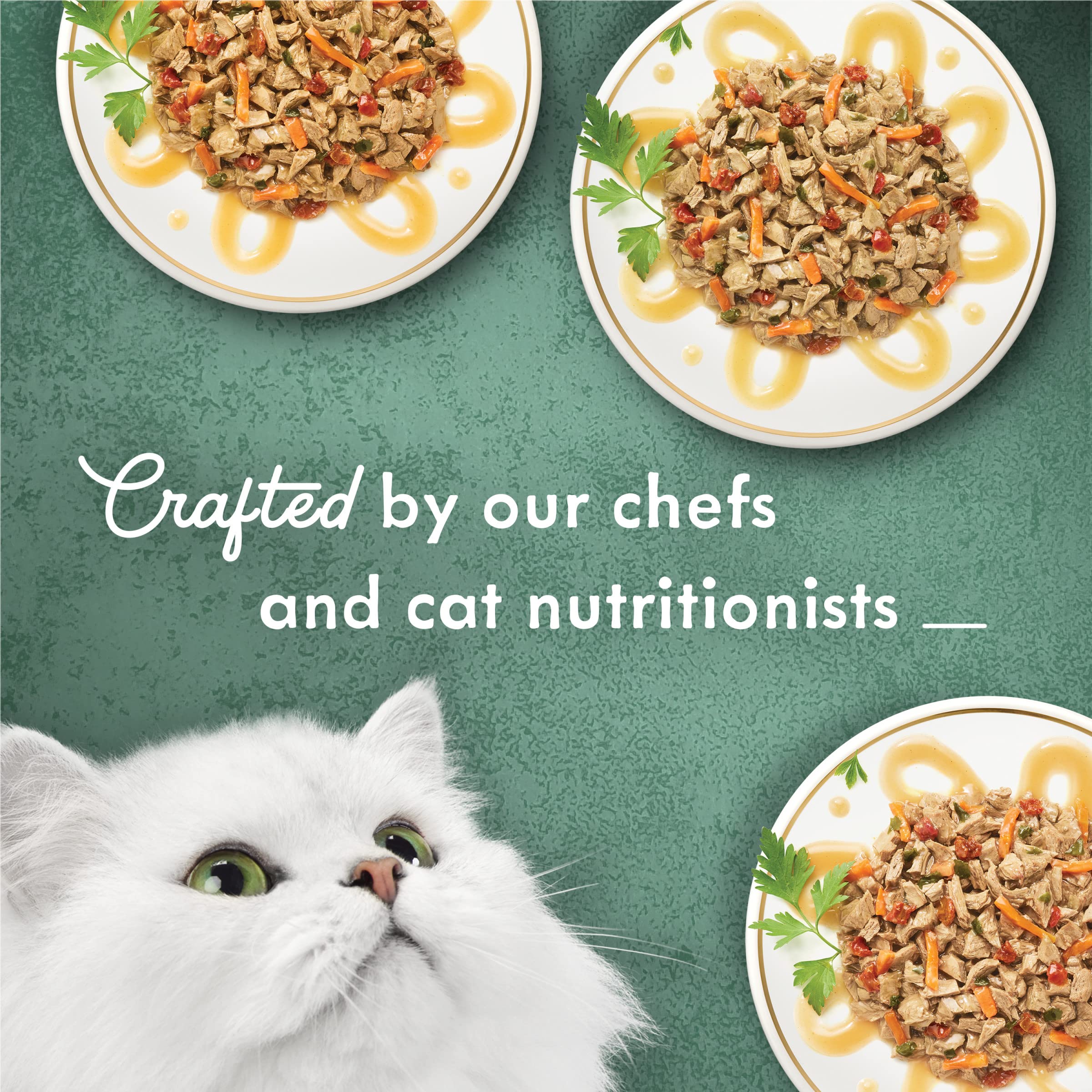 Fancy Feast Primavera silky broth close-up highlighting smooth texture that entices picky eaters.