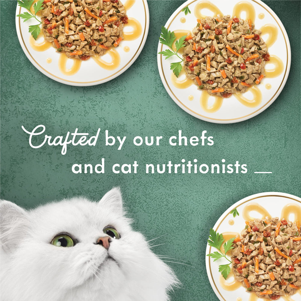 Fancy Feast Primavera silky broth close-up highlighting smooth texture that entices picky eaters.