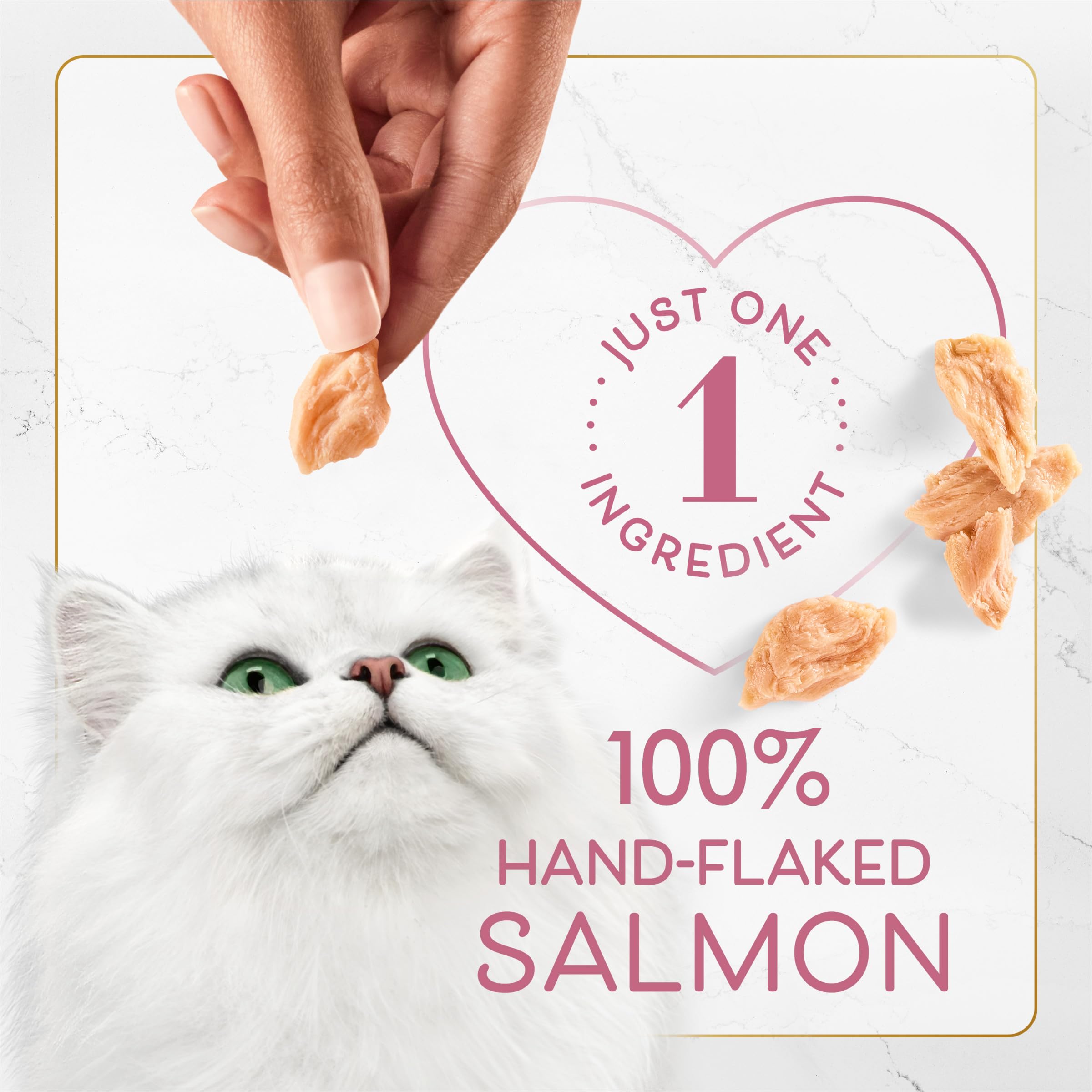 Steam-baked salmon pieces with a soft, not-too-dry bite