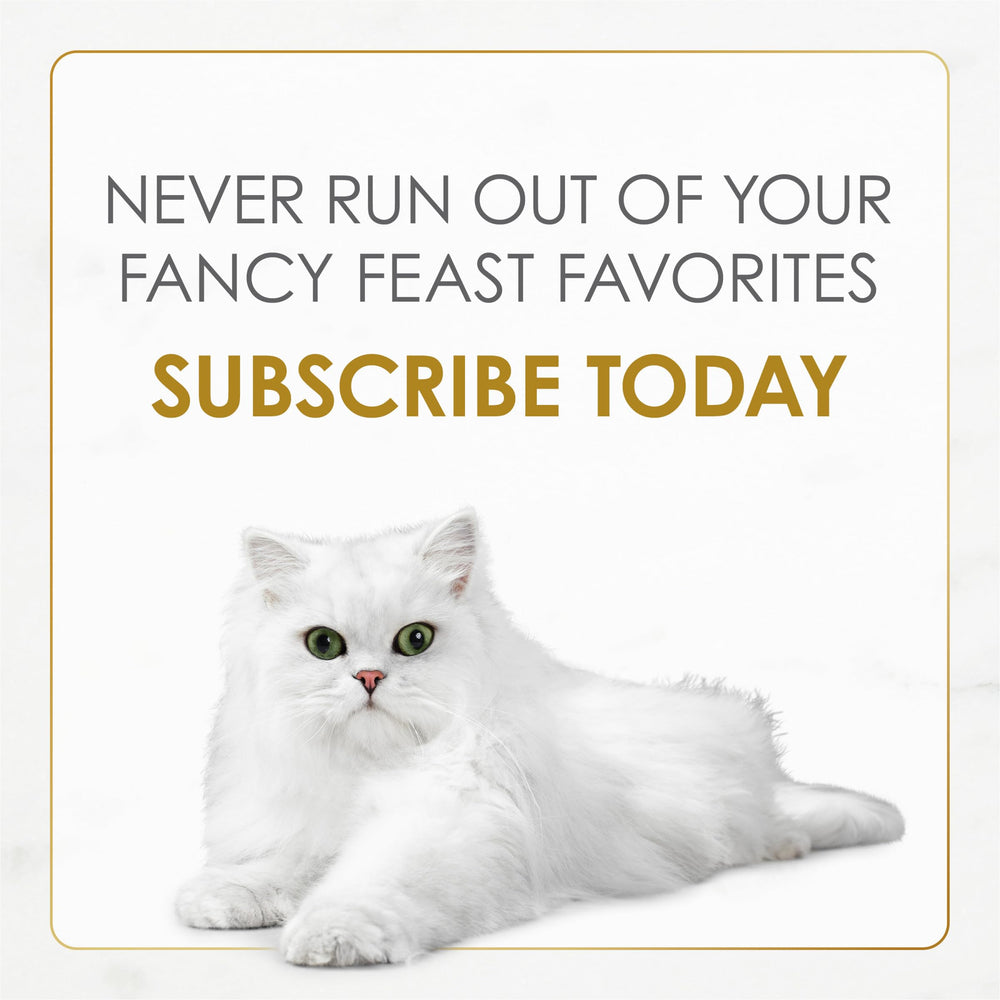 Fancy Feast ready-to-serve cat meal image, ideal for quick dinners with flavor