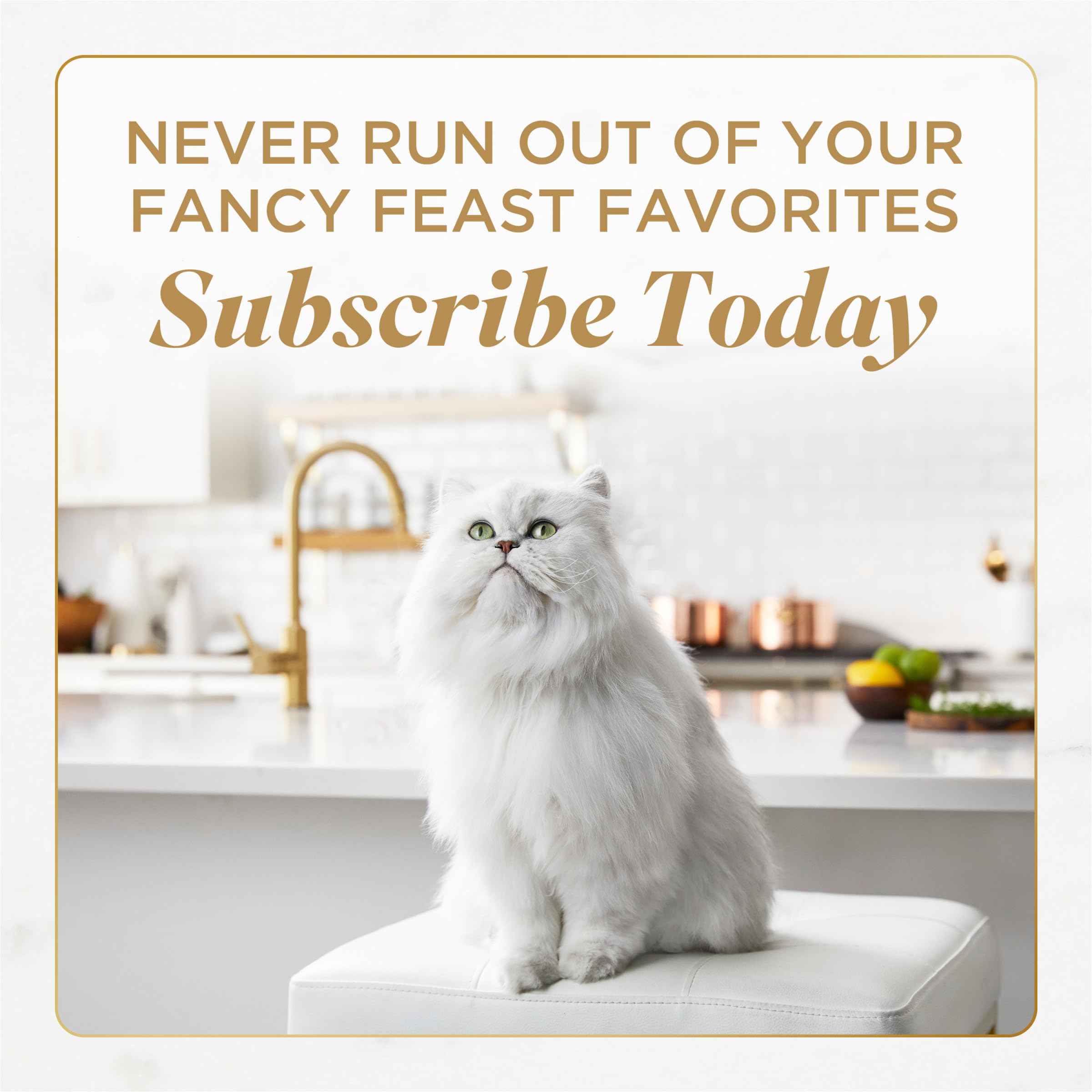 Fancy Feast Savory Centers gravy swirls atop pate, aroma invites cats to dine.