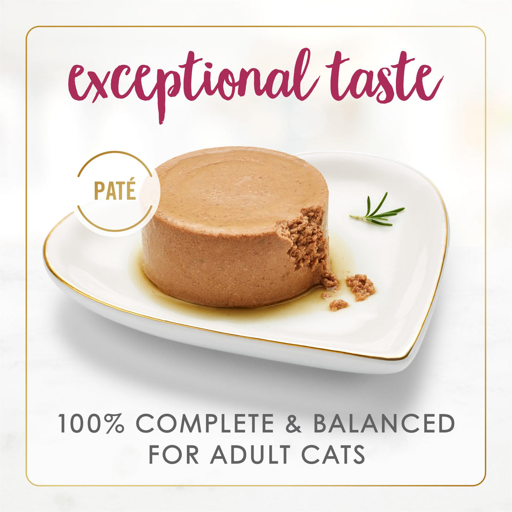 Senior cat enjoying Fancy Feast senior chicken feast pâté meal