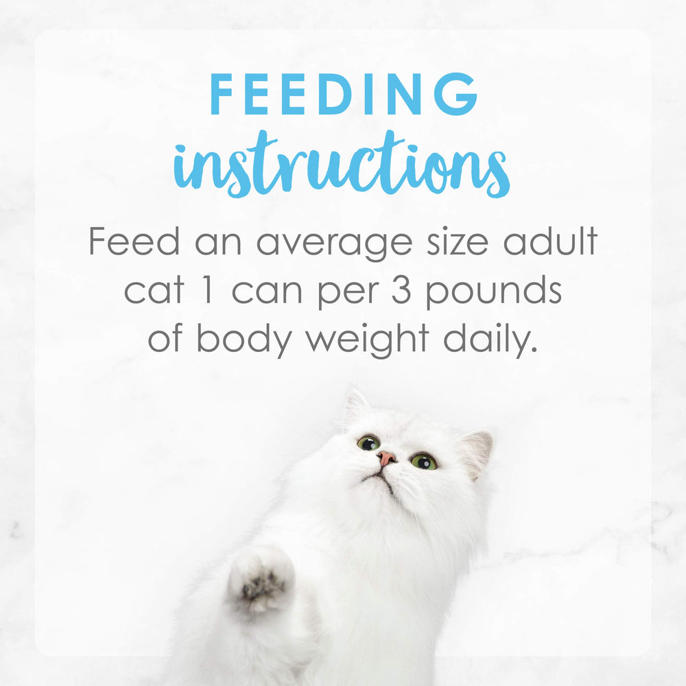 Cat enjoys Fancy Feast serving bowl at morning routine.