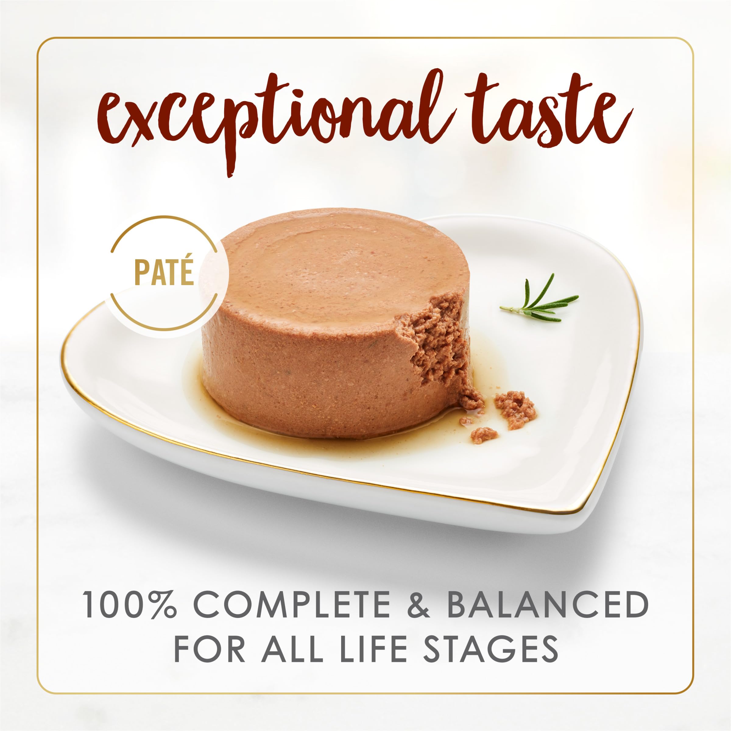 Fancy Feast Tender Beef Feast Pate plated to showcase gourmet texture and aroma.