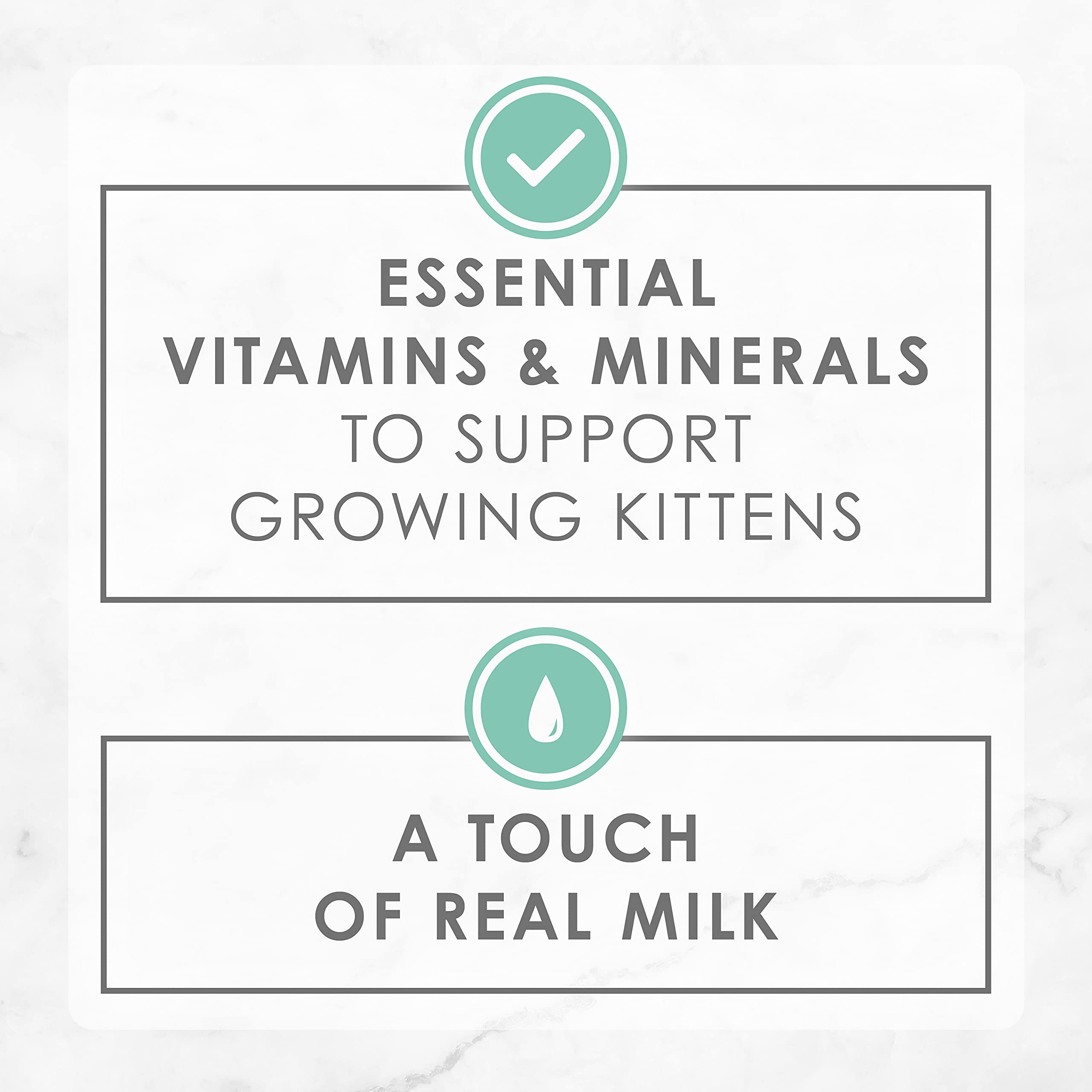 Kittens enjoy four gourmet recipes for mealtime variety.