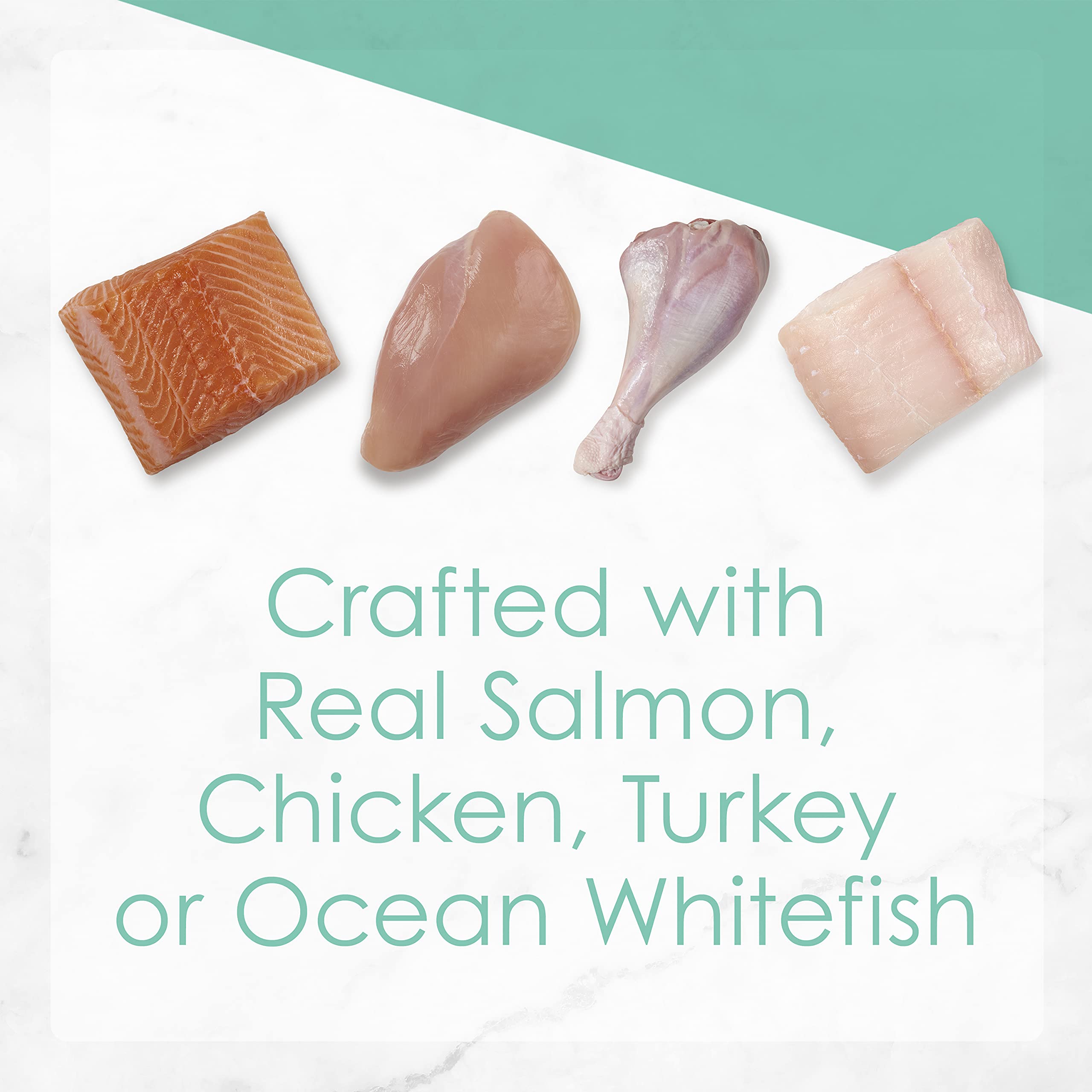 Fancy Feast Tender Feast Salmon kitten pâté highlights real fish as main ingredient.