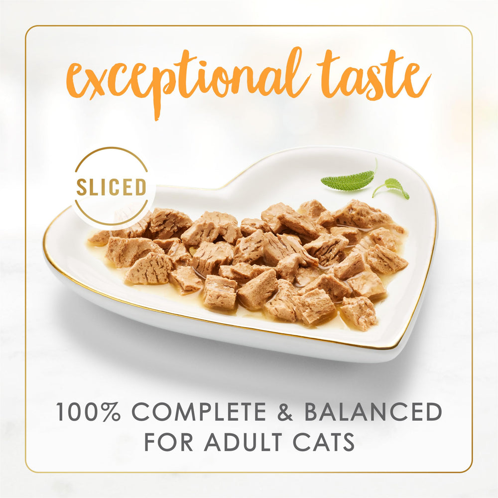 Fancy Feast turkey slices closeup with tender, saucy texture