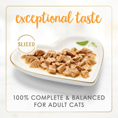 Fancy Feast turkey slices closeup with tender, saucy texture