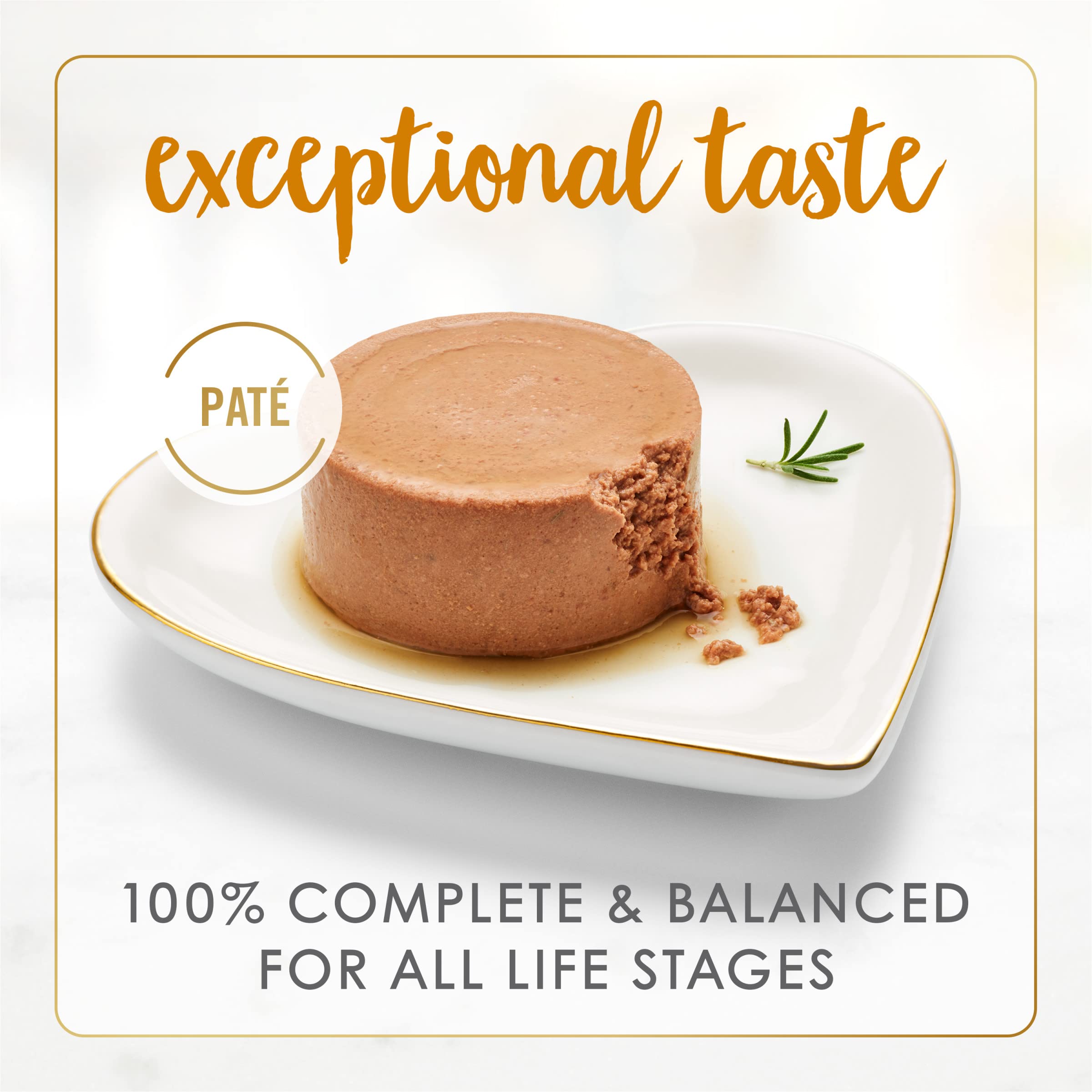 Fancy Feast wet-cat-food-pate-closeup showcases silky texture cats love.