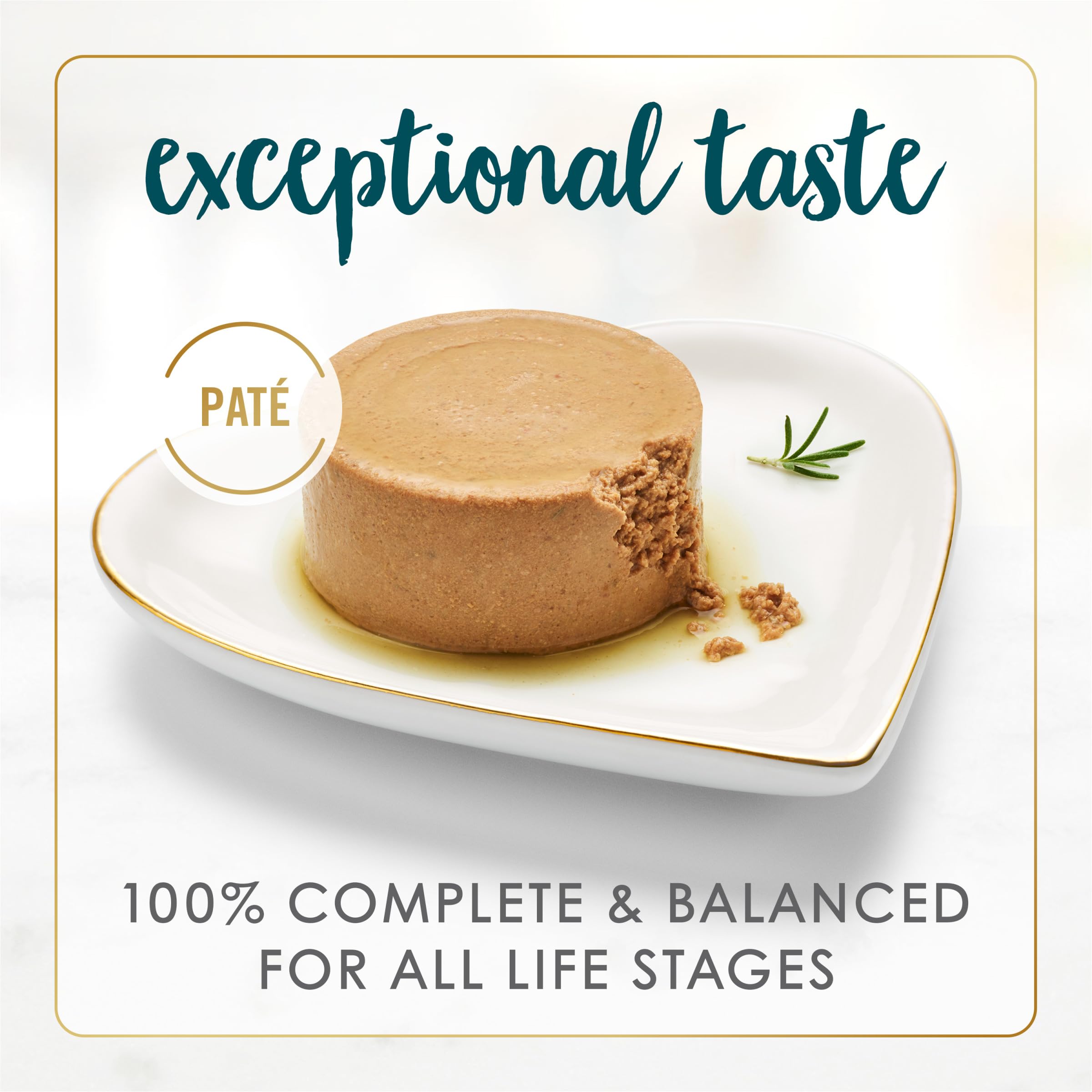 Fancy Feast wet cat food pate close-up, real salmon and shrimp shine in a smooth texture.