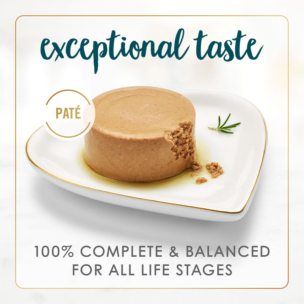 Fancy Feast wet cat food pate close-up, real salmon and shrimp shine in a smooth texture.