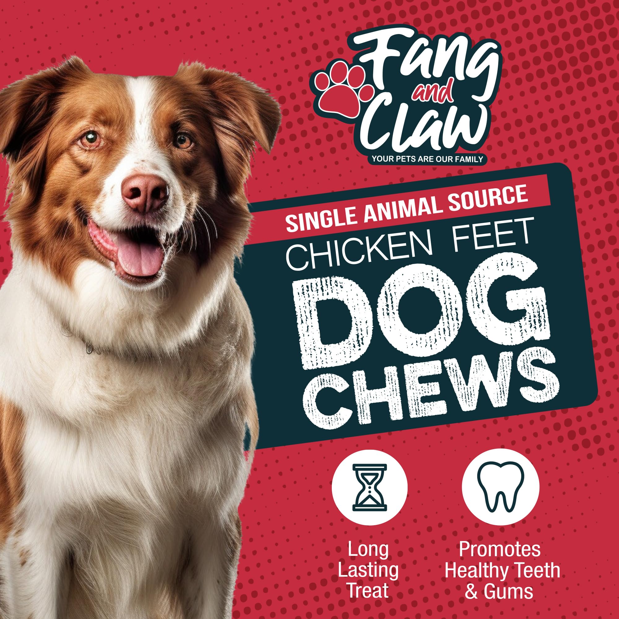 Dog enjoys a crunchy Fang and Claw chew during a training session.