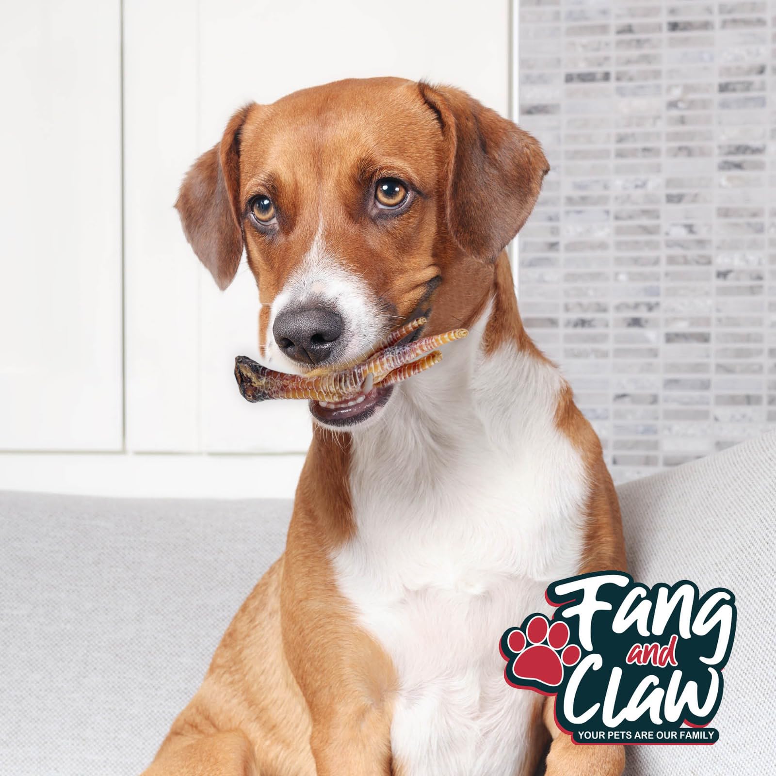Fang and Claw heritage farms in India ensure free-range sourcing.