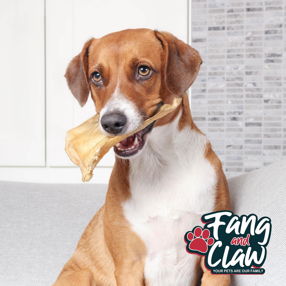 Fang and Claw single-ingredient buffalo ear chew for safe, grain-free dog treats.