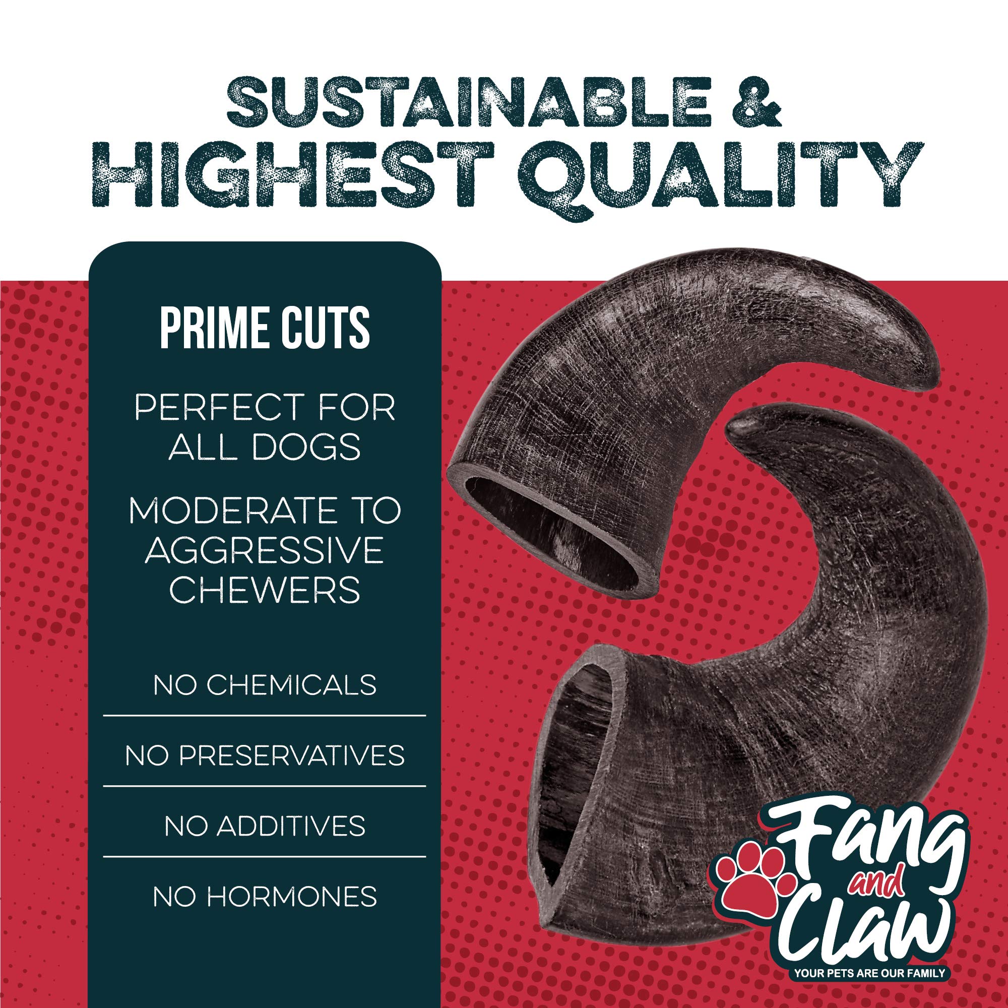 Fang and Claw water buffalo horn chew closeup texture, natural grain-free dog snack.