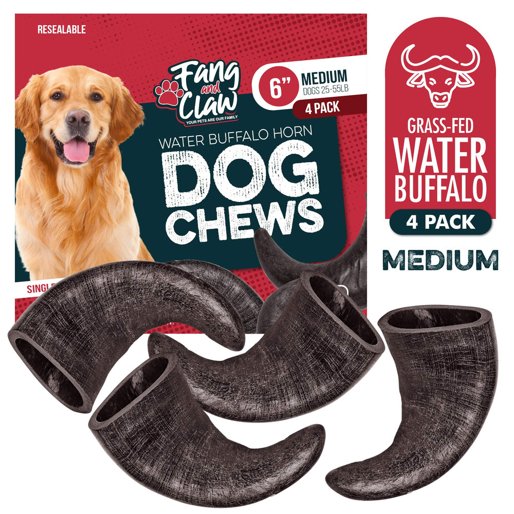 Fang and Claw dog enjoying sturdy buffalo horn chew during play.