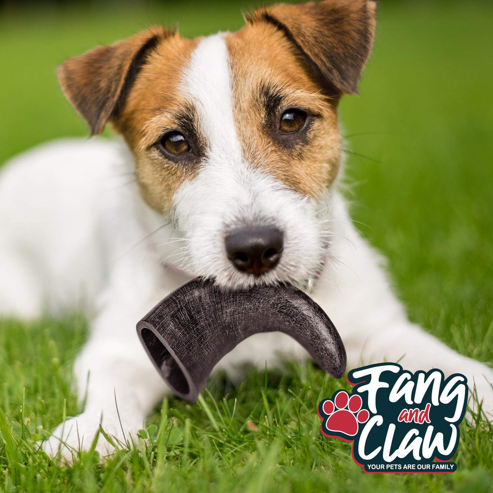 Fang and Claw natural buffalo horn chew with no additives.